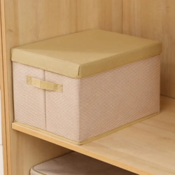Closet Organizers With Lid