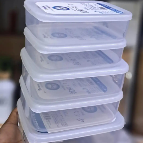 5 Pcs Fresh Keeping Freezer/Fridge Containers