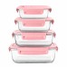 4 pcs glass food container set