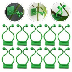 10pcs Plant Wall Clips – Invisible Sticky Vine Holders - rattan