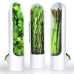 Fresh Herb Fridge Storage Container Fresh Herb Fridge Storage Container