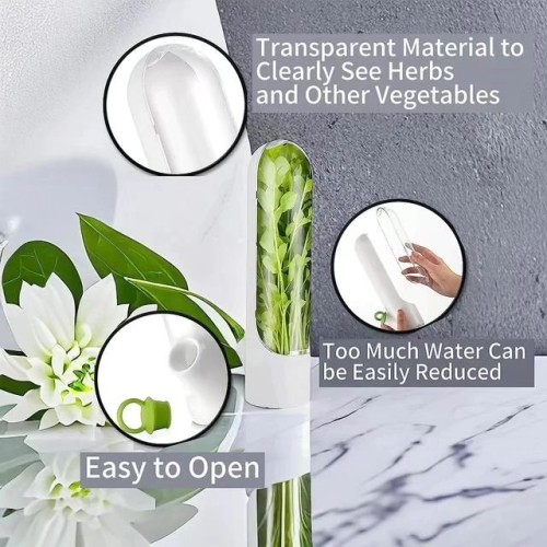 Fresh Herb Fridge Storage Container Fresh Herb Fridge Storage Container