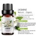 Essential Oil 10ml Essential Oil 10ml