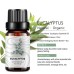 Essential Oil 10ml Essential Oil 10ml