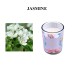 Glass Cup Scented Candles Glass Cup Scented Candles
