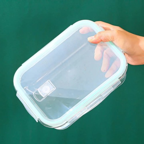 Borosilicate Lunch Box