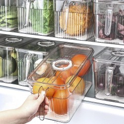 Fridge Storage Container