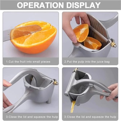 Manual Fruit Press