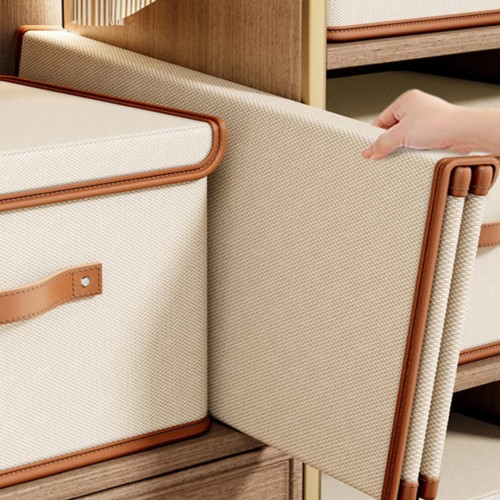 Extra Large Closet Organizer with Lid Extra Large Closet Organizer with Lid