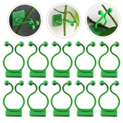 10pcs Plant Wall Clips – Invisible Sticky Vine Holders - rattan