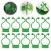 10pcs Plant Wall Clips – Invisible Sticky Vine Holders - rattan