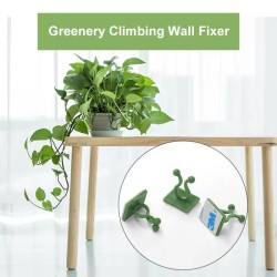 10pcs Plant Wall Clips – Invisible Sticky Vine Holders - rattan