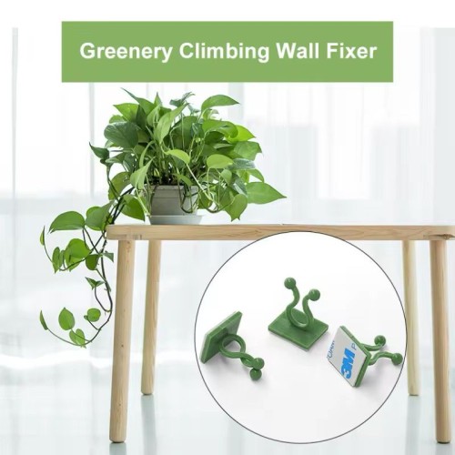 10pcs Plant Wall Clips – Invisible Sticky Vine Holders - rattan 10pcs Plant Wall Clips – Invisible Sticky Vine Holders - rattan