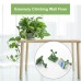 10pcs Plant Wall Clips – Invisible Sticky Vine Holders - rattan