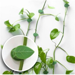 10pcs Plant Wall Clips – Invisible Sticky Vine Holders - rattan