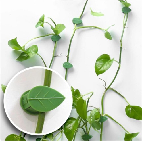 10pcs Plant Wall Clips – Invisible Sticky Vine Holders - rattan 10pcs Plant Wall Clips – Invisible Sticky Vine Holders - rattan