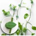 10pcs Plant Wall Clips – Invisible Sticky Vine Holders - rattan