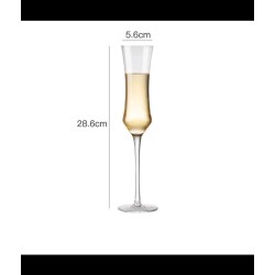 6Pcs Elegant Long Stem Crystal Wine & Champagne Flutes