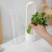 Herb & Vegetable Fresh-Keeping Cup