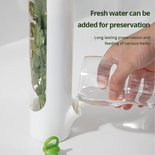 Herb & Vegetable Fresh-Keeping Cup Herb & Vegetable Fresh-Keeping Cup