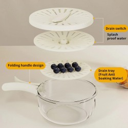 Food Storage & Drainer Container