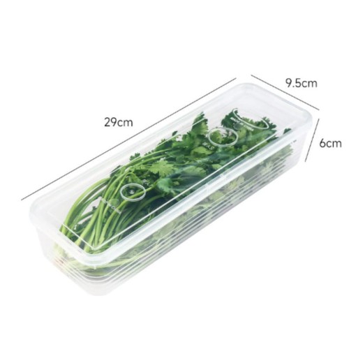 Refrigerator Herb Storage Boxes – Stackable Organizer