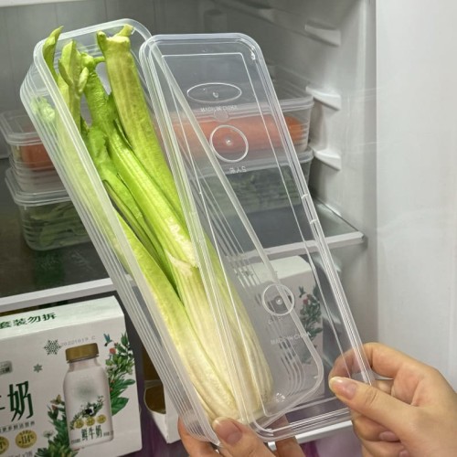 Refrigerator Herb Storage Boxes – Stackable Organizer