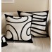 Light Luxury Abstract Art Cushion Covers Light Luxury Abstract Art Cushion Covers