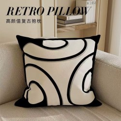 Light Luxury Abstract Art Cushion Covers Light Luxury Abstract Art Cushion Covers