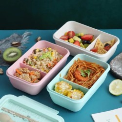 Bento Lunch Box – 2 Compartments with Chopsticks & Spoon