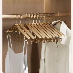 5pcs Aluminum Alloy Clothes Hangers